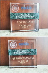 仁和集團(tuán)在2021西普會上喜獲殊榮