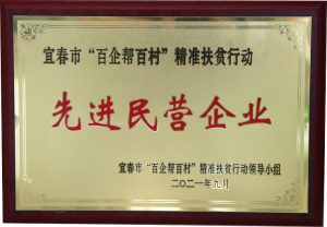 仁和集團(tuán)榮獲宜春市“百企幫百村”精準(zhǔn)扶貧行動先進(jìn)民營企業(yè)稱號